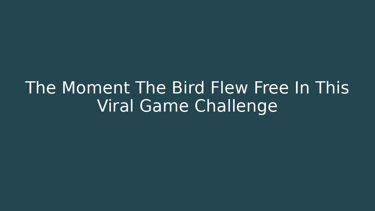 The Moment The Bird Flew Free In This Viral Game Challenge