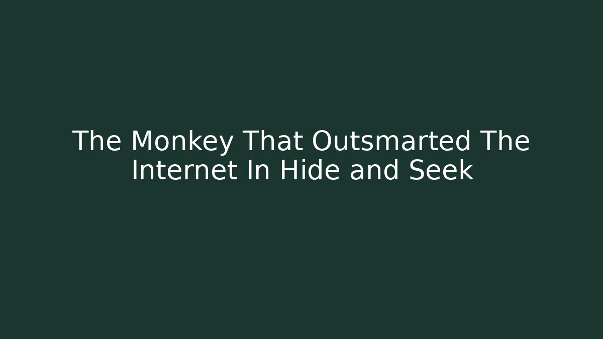 The Monkey That Outsmarted The Internet In Hide and Seek