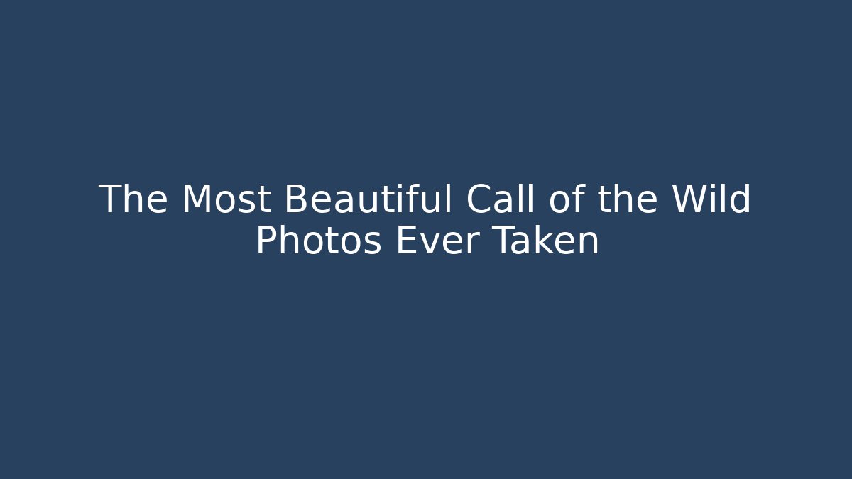The Most Beautiful Call of the Wild Photos Ever Taken