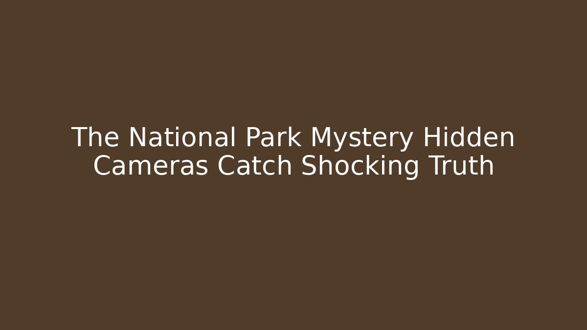The National Park Mystery Hidden Cameras Catch Shocking Truth