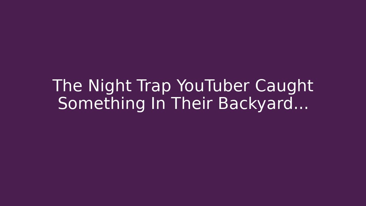 The Night Trap YouTuber Caught Something In Their Backyard…
