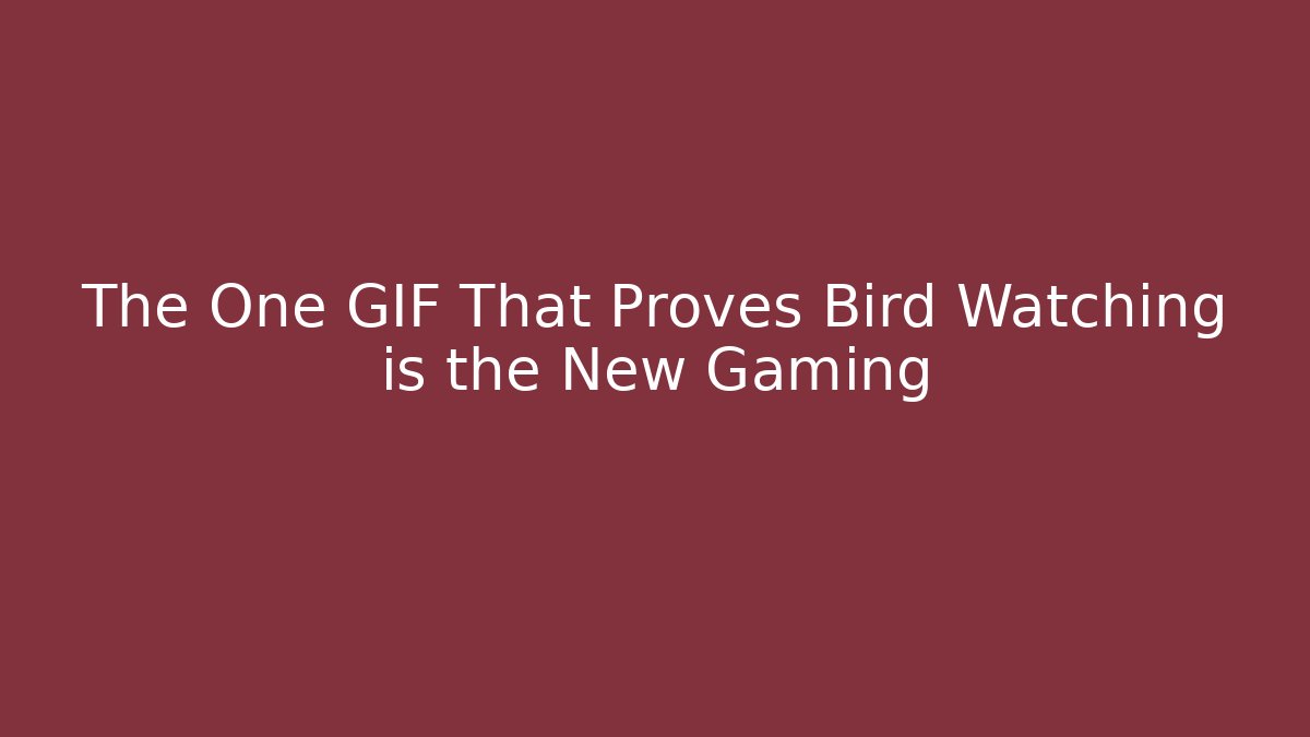 The One GIF That Proves Bird Watching is the New Gaming