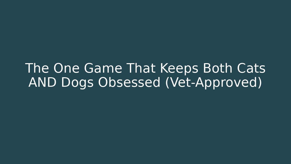 The One Game That Keeps Both Cats AND Dogs Obsessed (Vet-Approved)