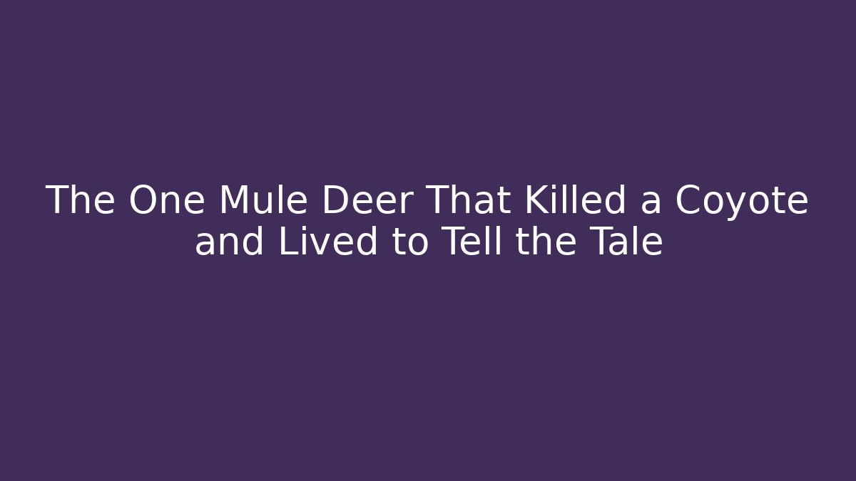The One Mule Deer That Killed a Coyote and Lived to Tell the Tale