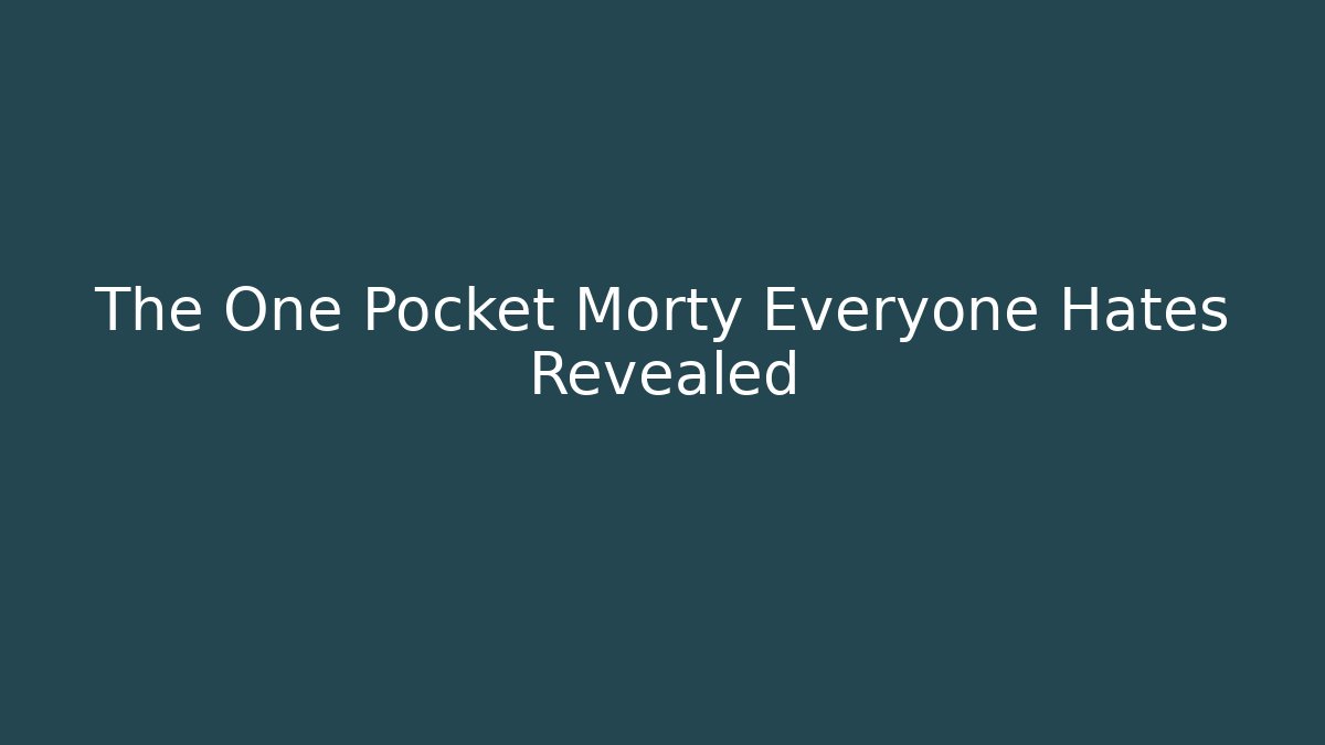 The One Pocket Morty Everyone Hates Revealed