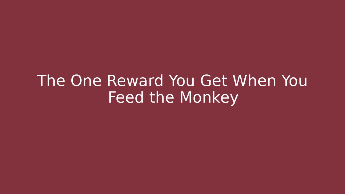 The One Reward You Get When You Feed the Monkey