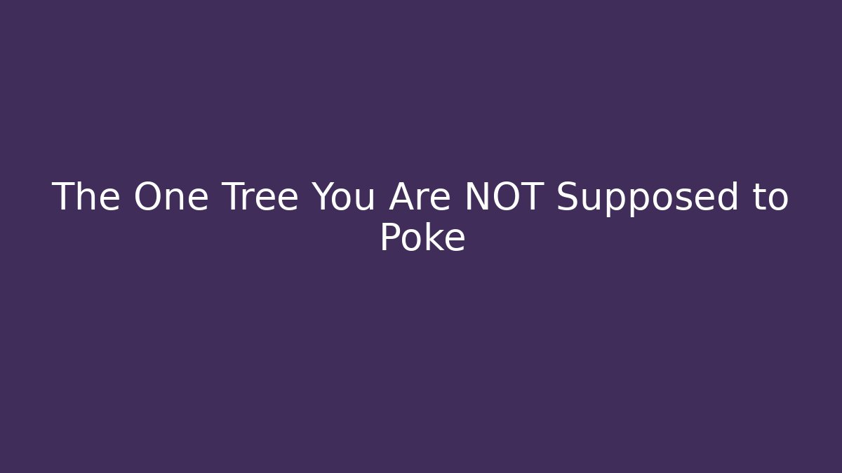The One Tree You Are NOT Supposed to Poke