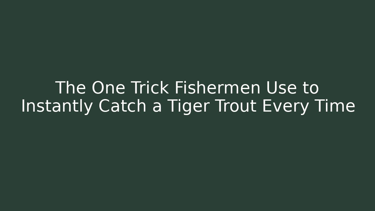 The One Trick Fishermen Use to Instantly Catch a Tiger Trout Every Time