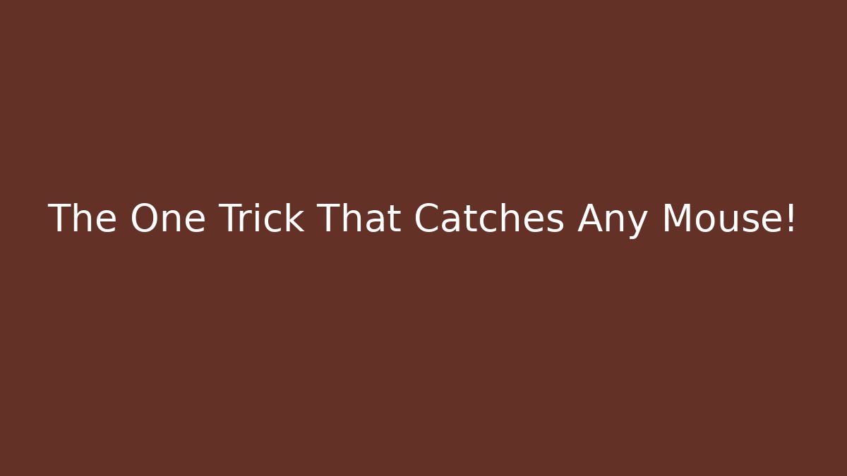 The One Trick That Catches Any Mouse!