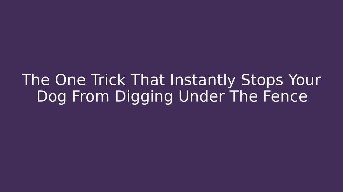 The One Trick That Instantly Stops Your Dog From Digging Under The Fence