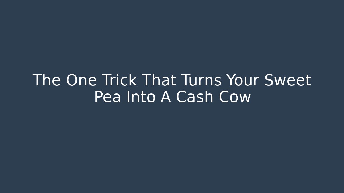 The One Trick That Turns Your Sweet Pea Into A Cash Cow