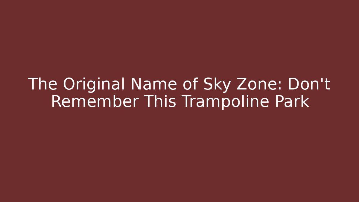 The Original Name of Sky Zone: Don't Remember This Trampoline Park