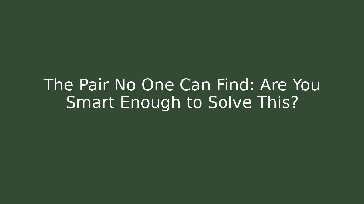 The Pair No One Can Find: Are You Smart Enough to Solve This?