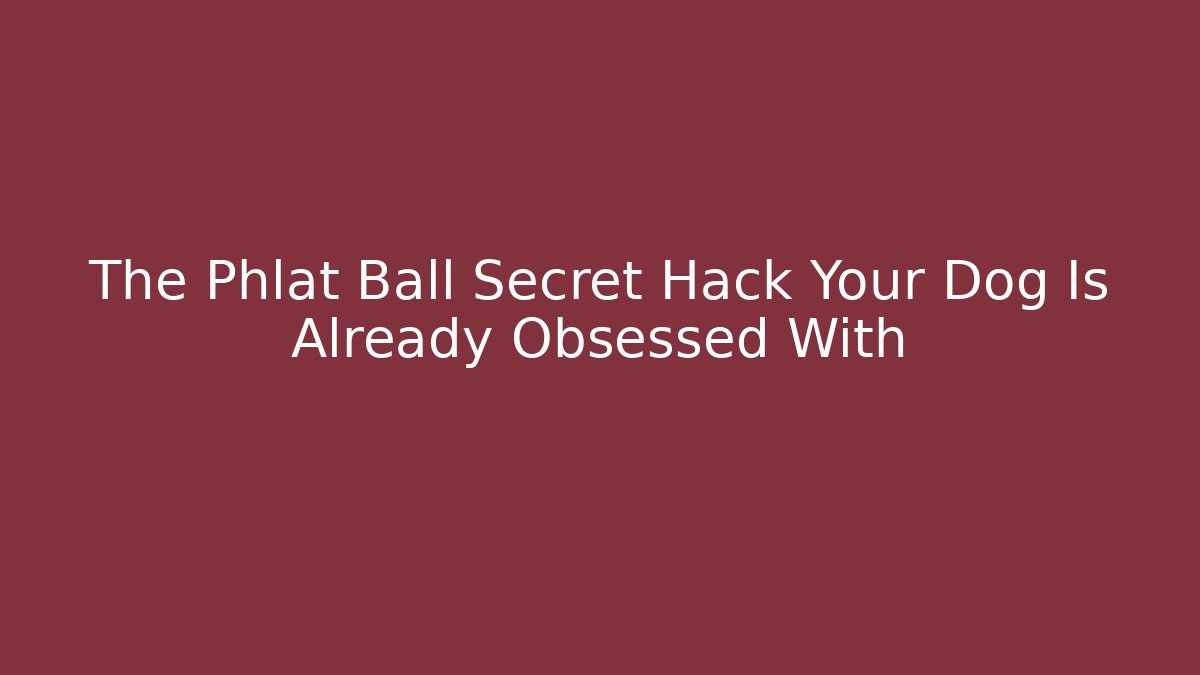The Phlat Ball Secret Hack Your Dog Is Already Obsessed With