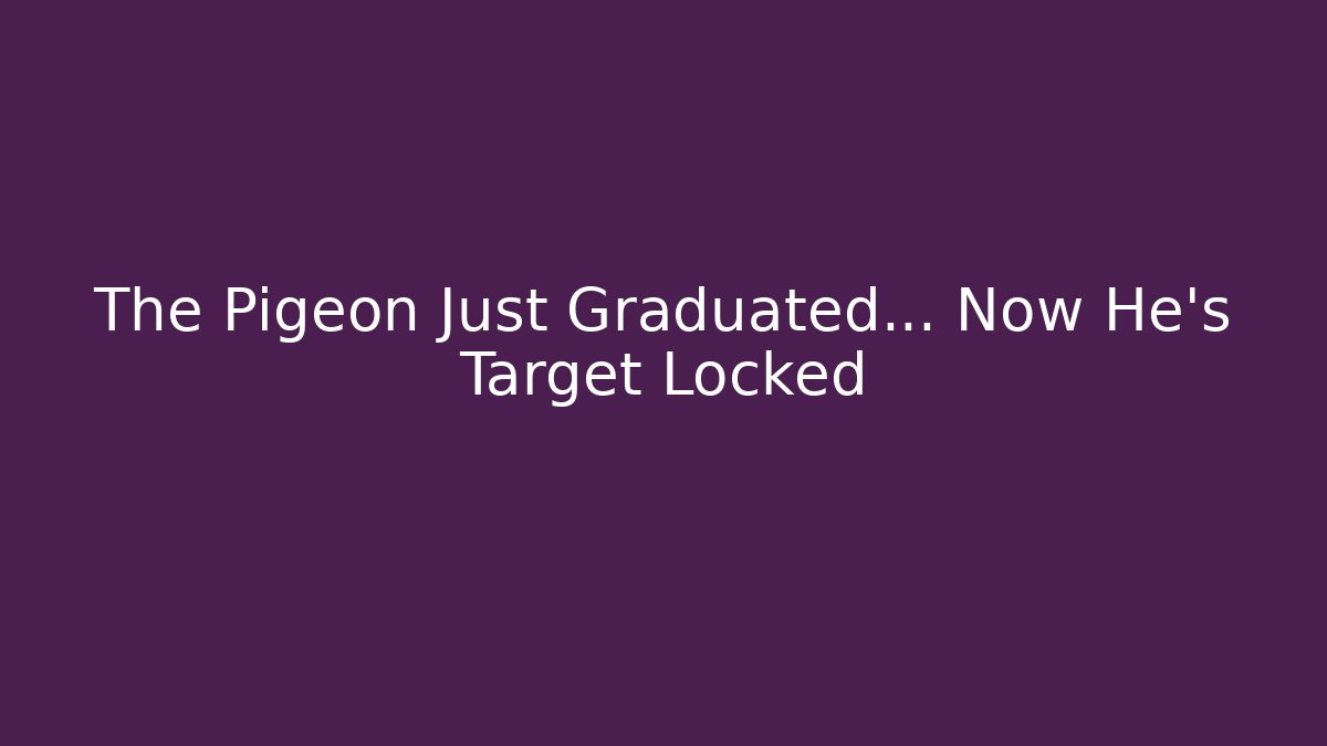 The Pigeon Just Graduated… Now He's Target Locked
