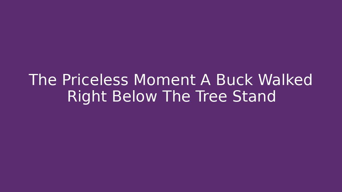The Priceless Moment A Buck Walked Right Below The Tree Stand