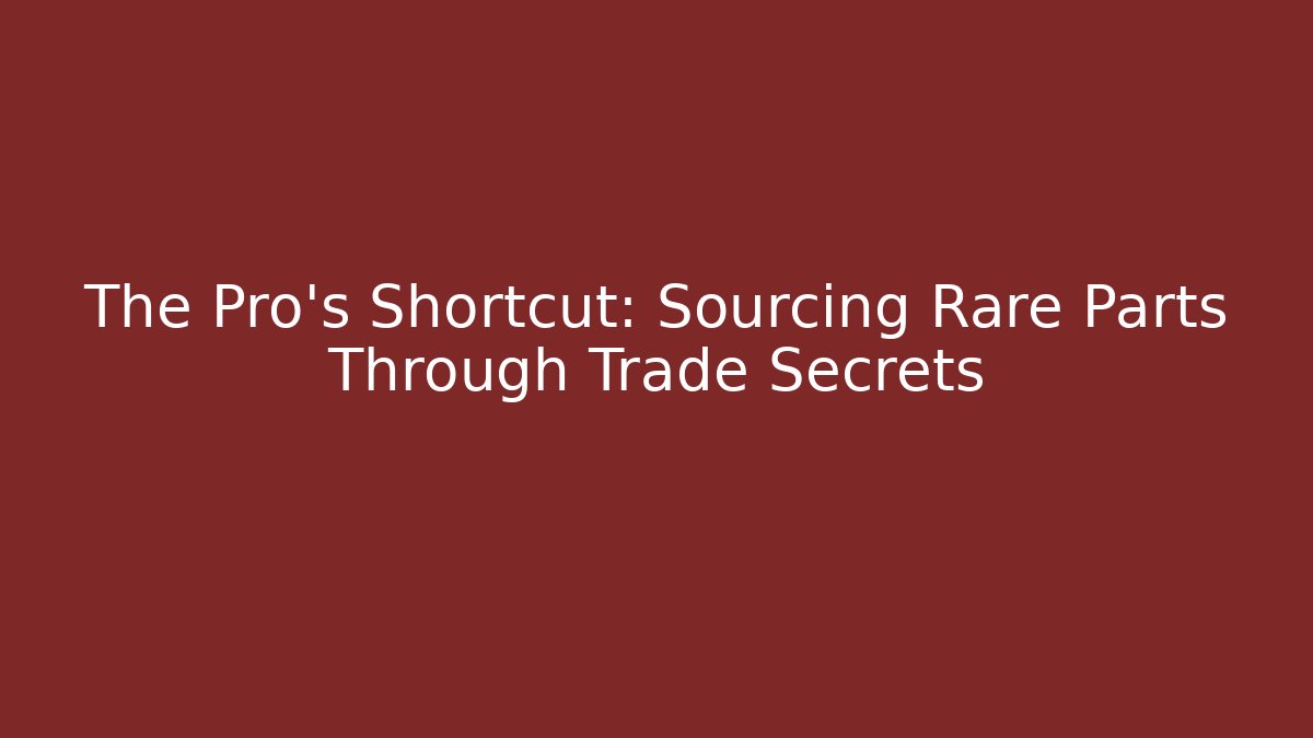 The Pro's Shortcut: Sourcing Rare Parts Through Trade Secrets