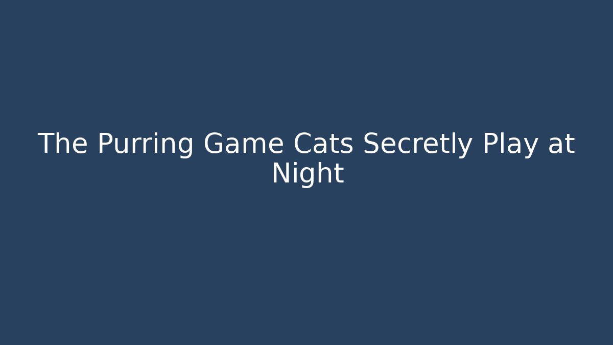 The Purring Game Cats Secretly Play at Night