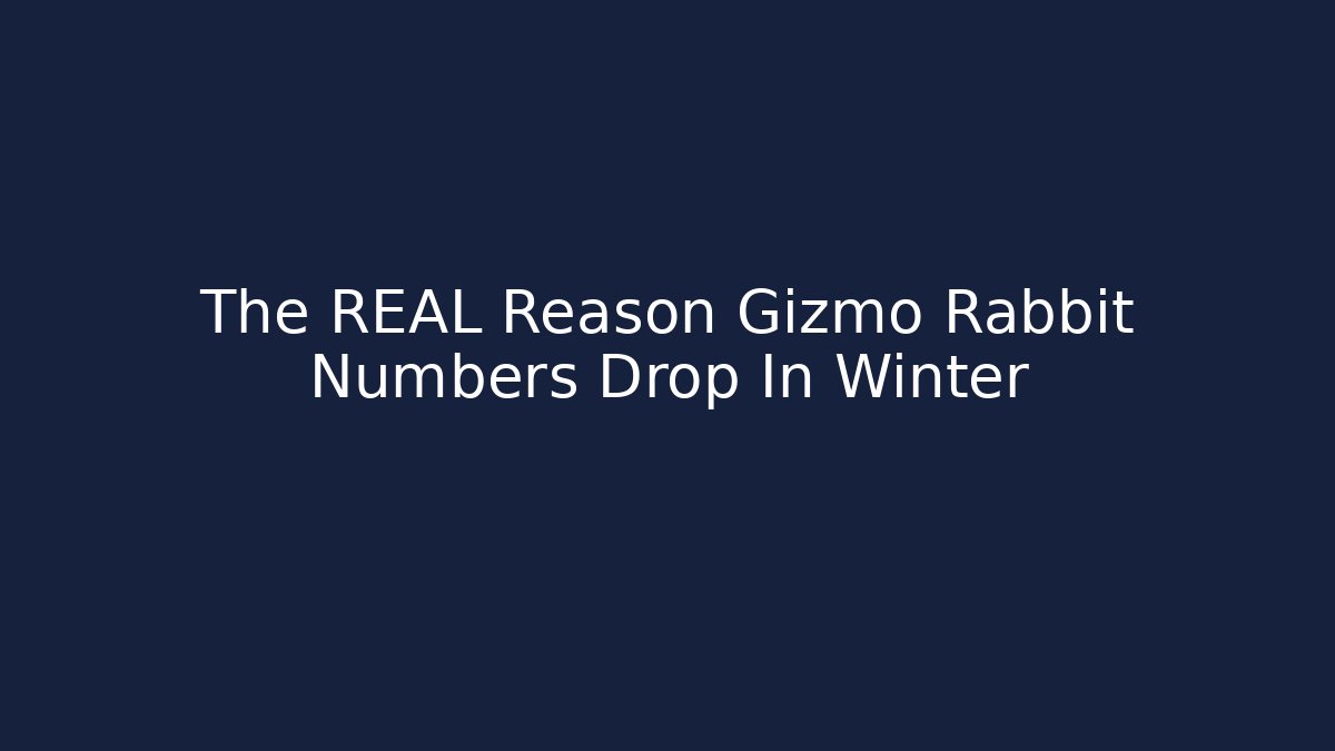 The REAL Reason Gizmo Rabbit Numbers Drop In Winter
