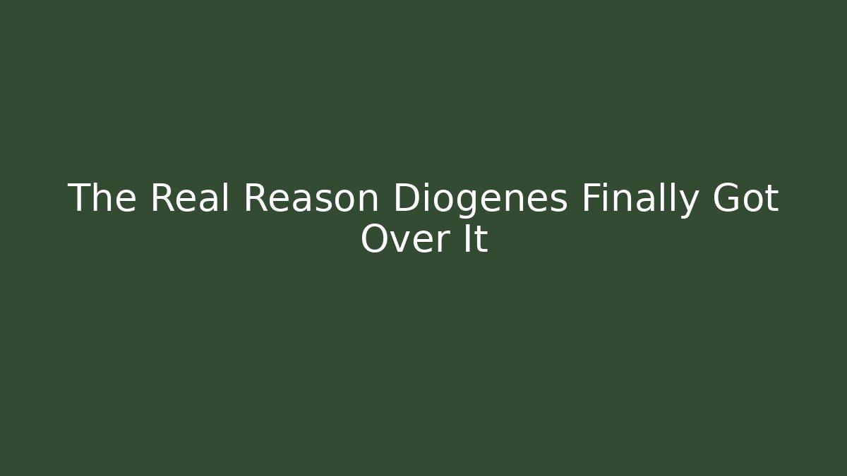 The Real Reason Diogenes Finally Got Over It