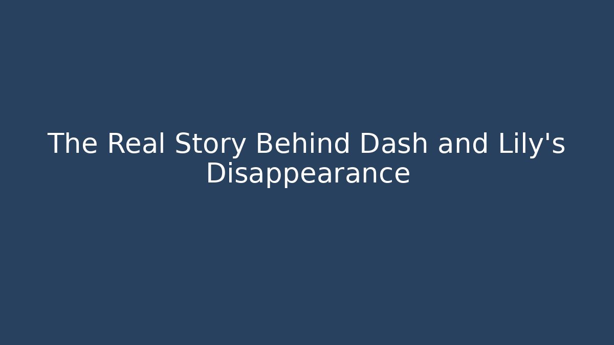 The Real Story Behind Dash and Lily's Disappearance