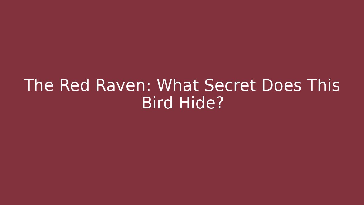 The Red Raven: What Secret Does This Bird Hide?