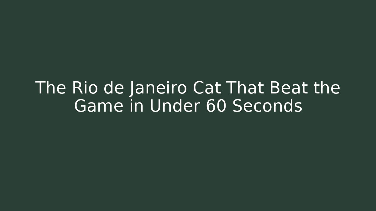 The Rio de Janeiro Cat That Beat the Game in Under 60 Seconds