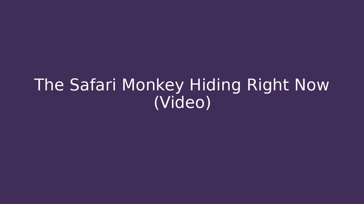 The Safari Monkey Hiding Right Now (Video)