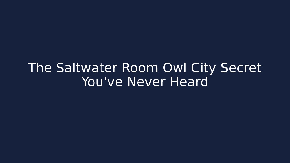 The Saltwater Room Owl City Secret You've Never Heard