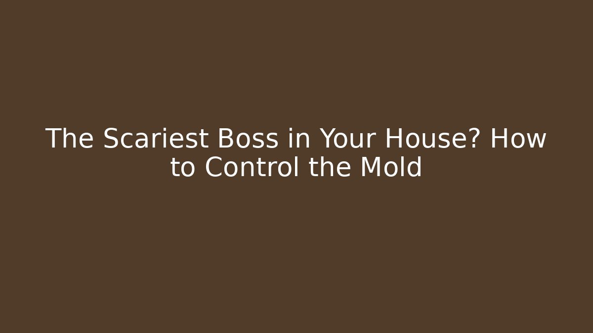 The Scariest Boss in Your House? How to Control the Mold