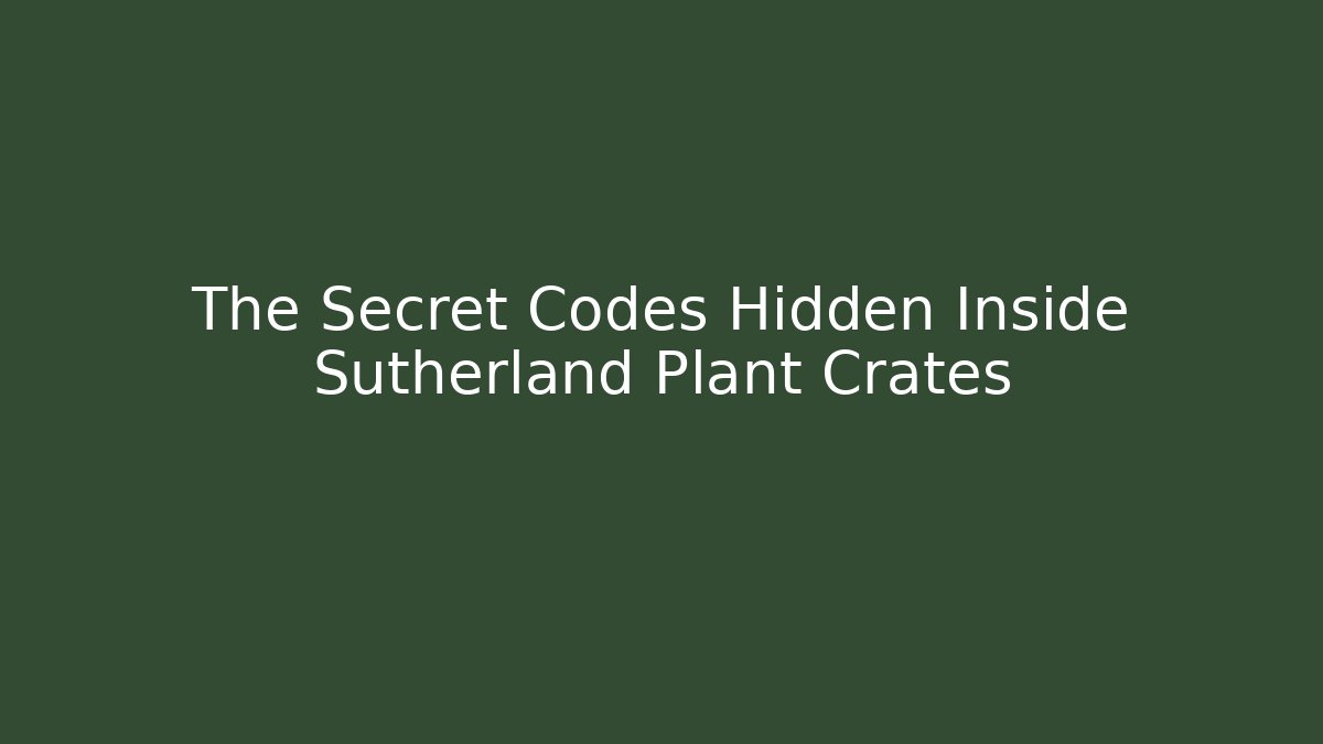 The Secret Codes Hidden Inside Sutherland Plant Crates