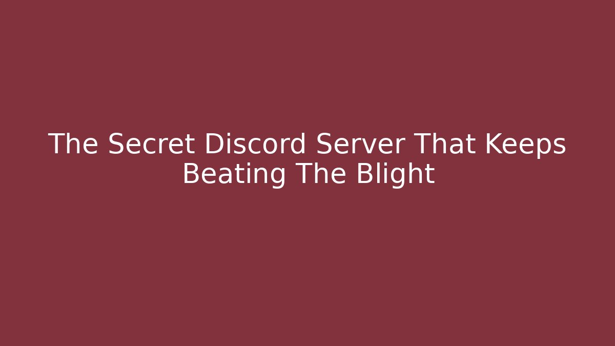 The Secret Discord Server That Keeps Beating The Blight