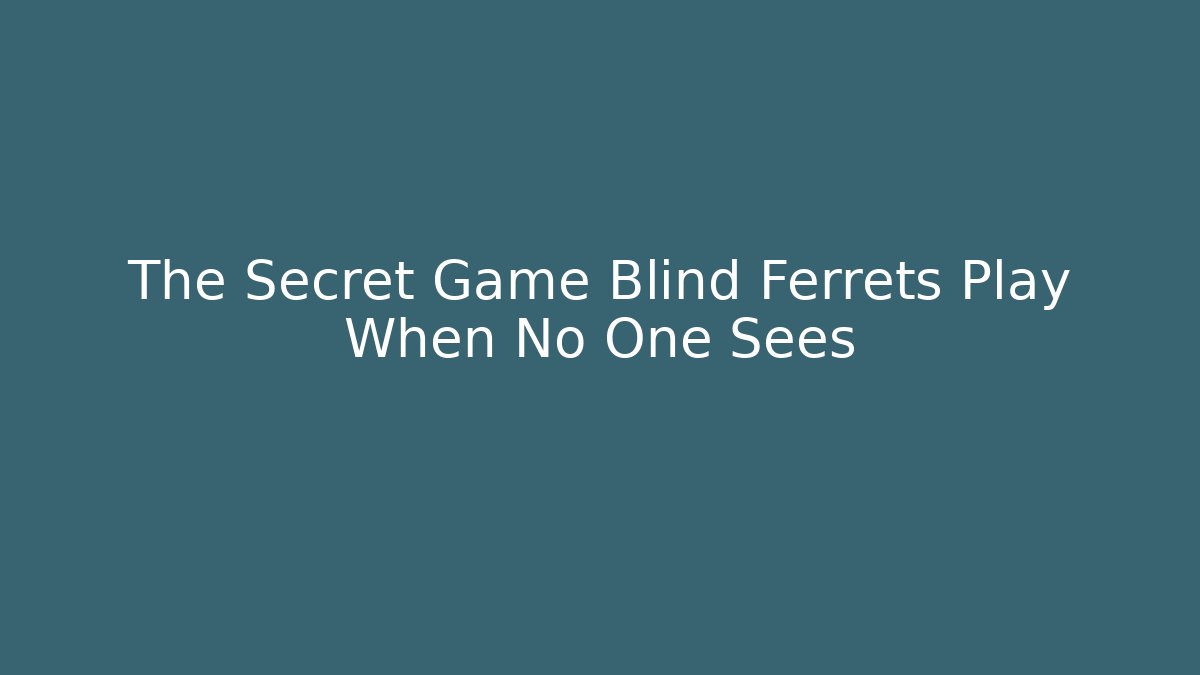 The Secret Game Blind Ferrets Play When No One Sees