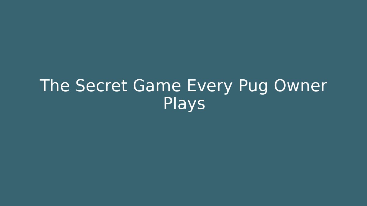 The Secret Game Every Pug Owner Plays