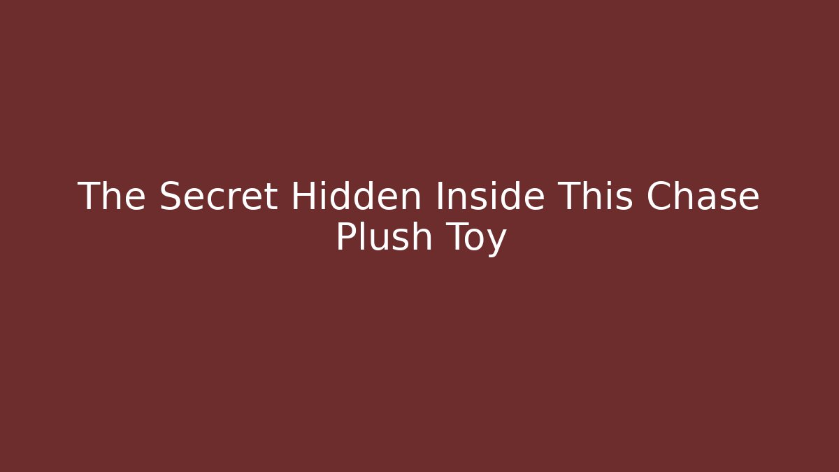 The Secret Hidden Inside This Chase Plush Toy