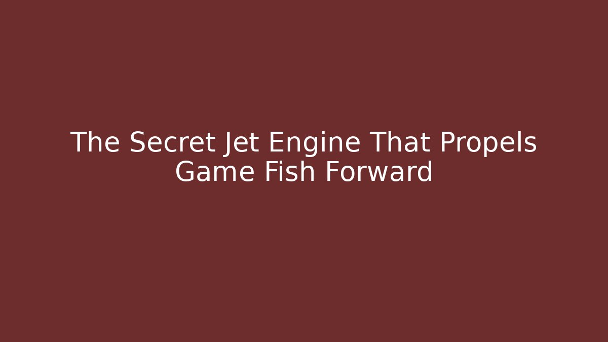 The Secret Jet Engine That Propels Game Fish Forward - Critter Realm