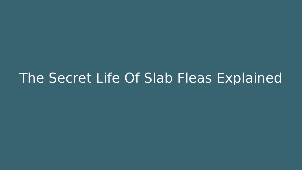 The Secret Life Of Slab Fleas Explained