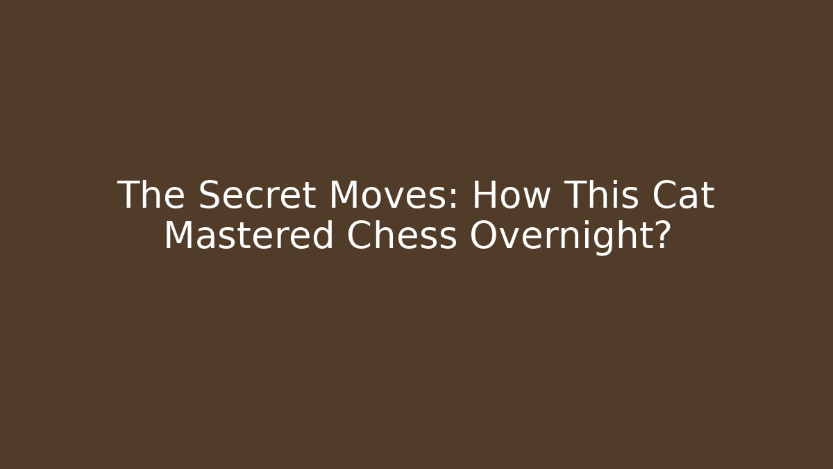 The Secret Moves: How This Cat Mastered Chess Overnight?