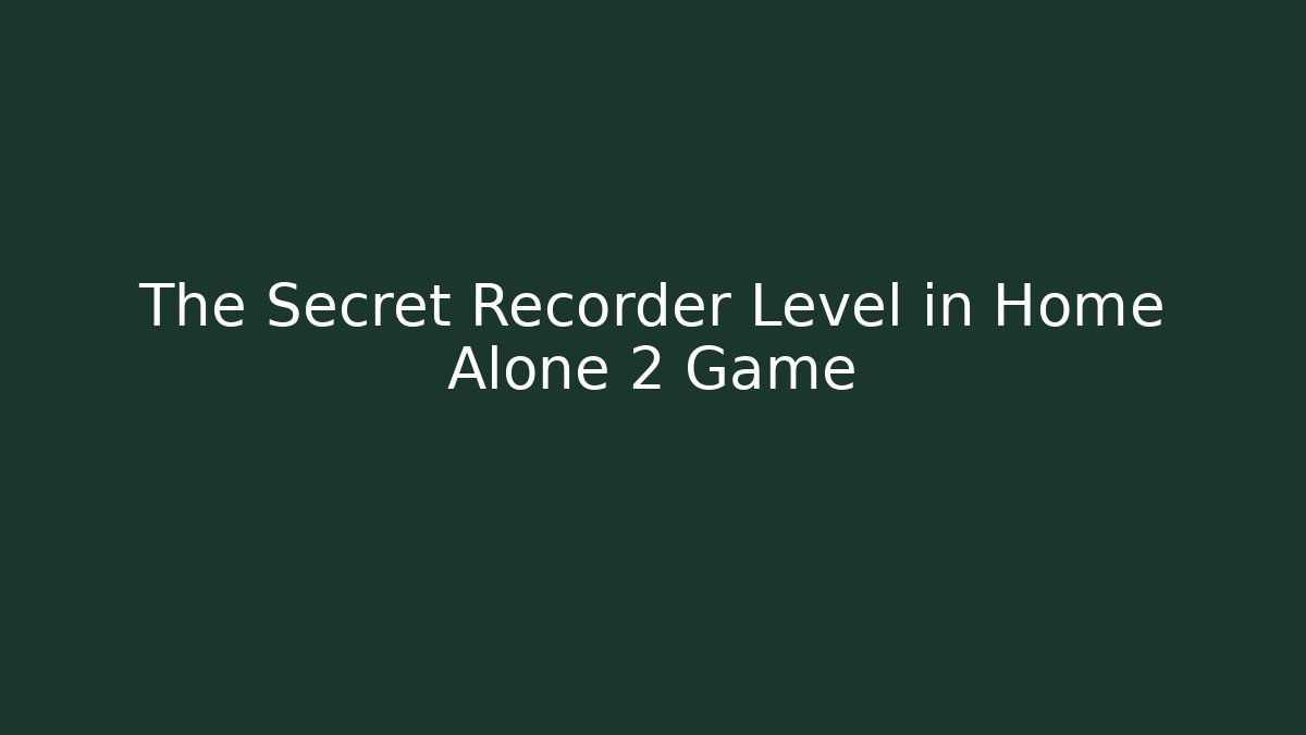 The Secret Recorder Level in Home Alone 2 Game