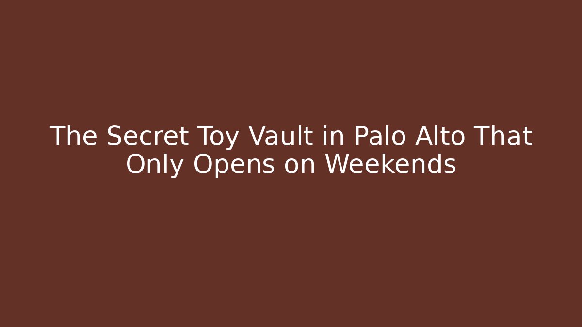 The Secret Toy Vault in Palo Alto That Only Opens on Weekends