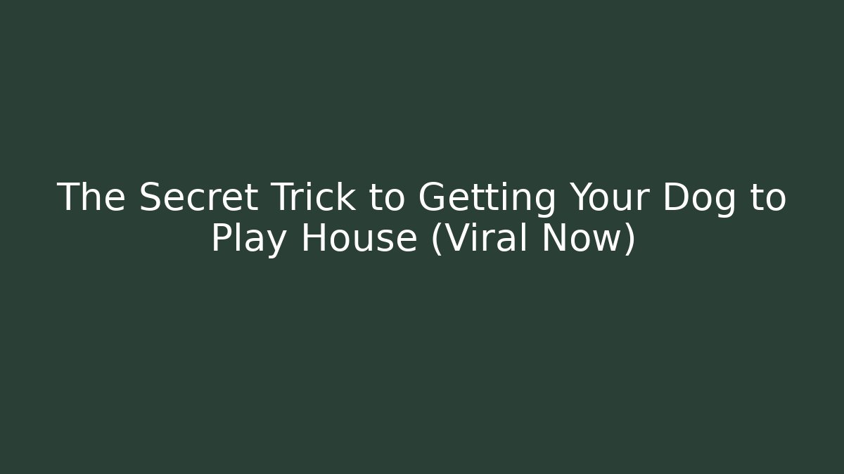 The Secret Trick to Getting Your Dog to Play House (Viral Now)