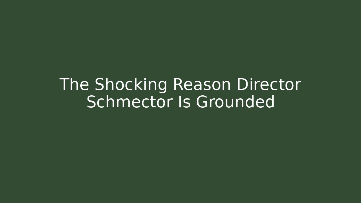 The Shocking Reason Director Schmector Is Grounded