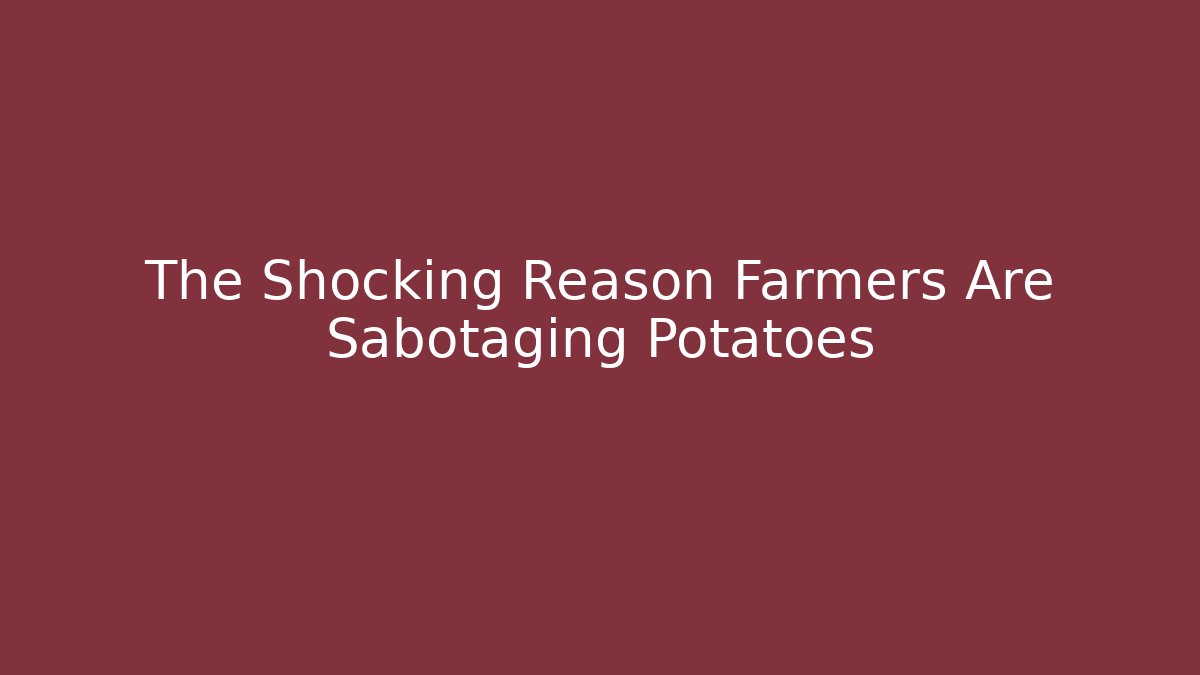 The Shocking Reason Farmers Are Sabotaging Potatoes