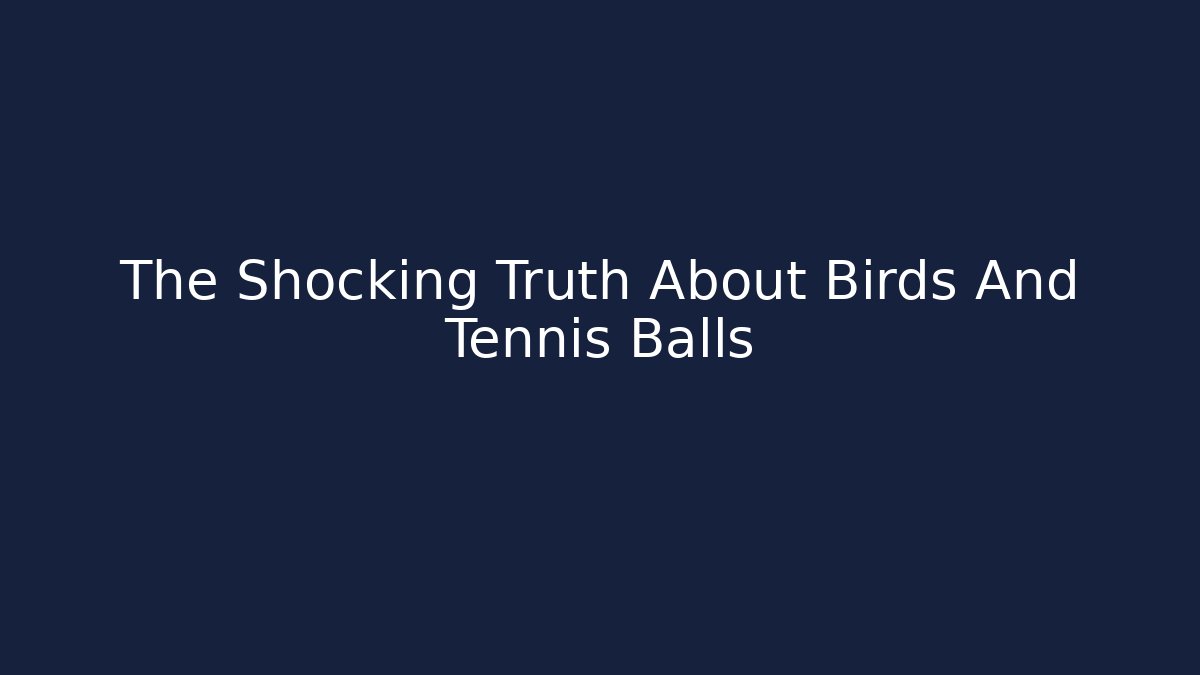The Shocking Truth About Birds And Tennis Balls