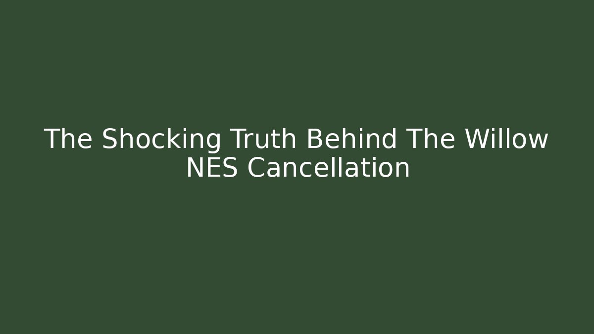 The Shocking Truth Behind The Willow NES Cancellation