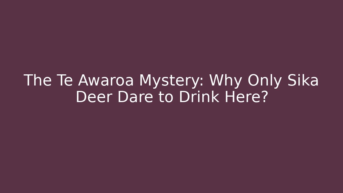 The Te Awaroa Mystery: Why Only Sika Deer Dare to Drink Here?