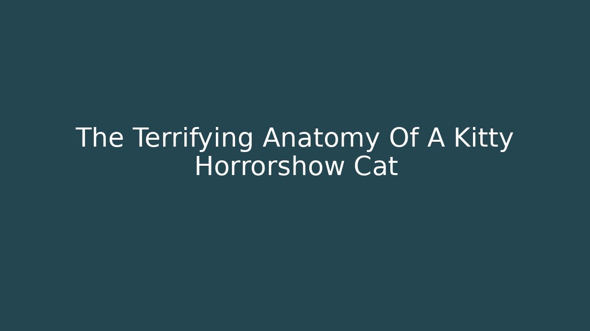 The Terrifying Anatomy Of A Kitty Horrorshow Cat - Critter Realm