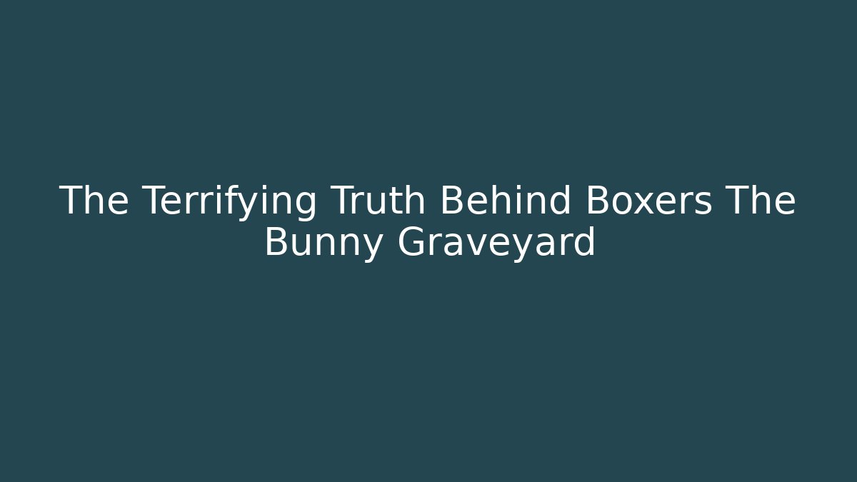 The Terrifying Truth Behind Boxers The Bunny Graveyard - Critter Realm