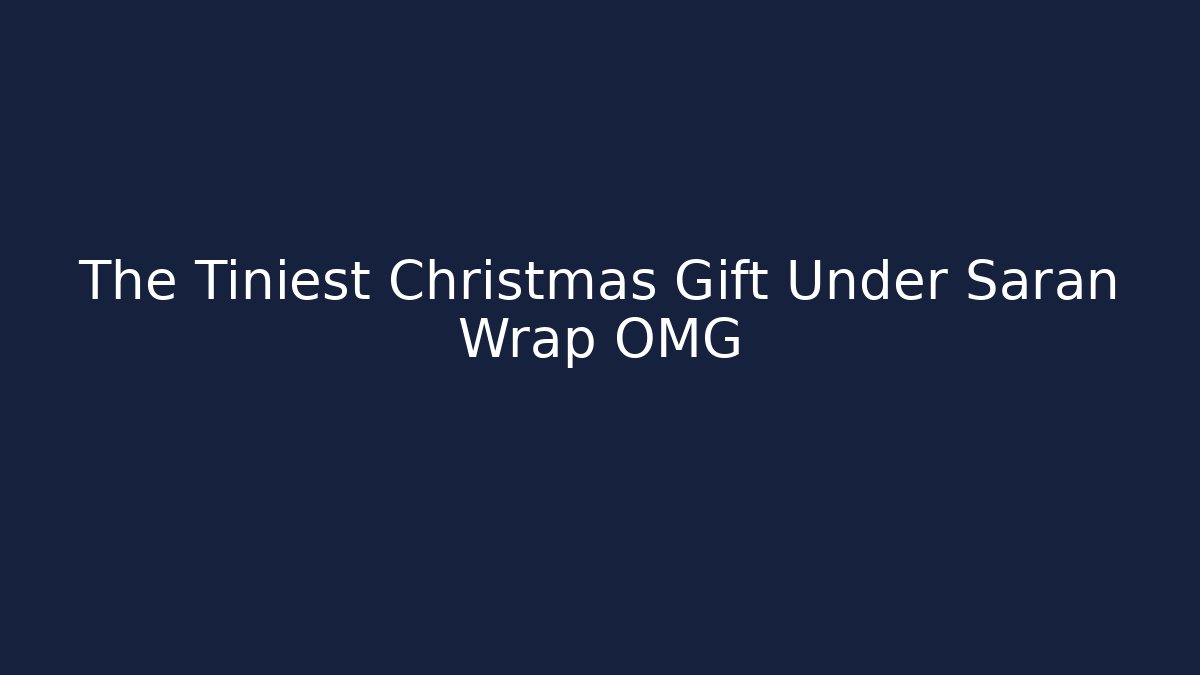 The Tiniest Christmas Gift Under Saran Wrap OMG
