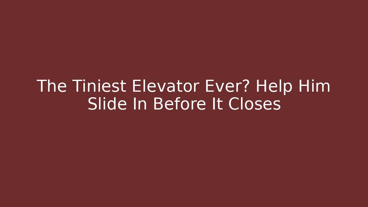The Tiniest Elevator Ever? Help Him Slide In Before It Closes